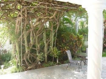 Baldwin'S Guest House Cozumel Exteriér fotografie